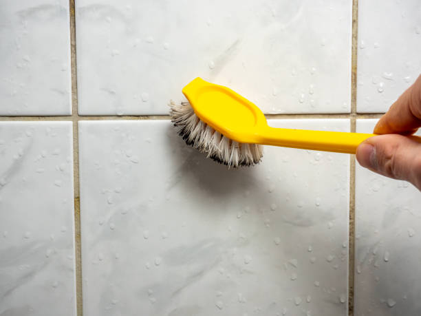Best Industrial Mold Remediation in West Park, CA