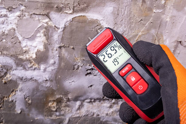 Best Commercial Mold Remediation in West Park, CA